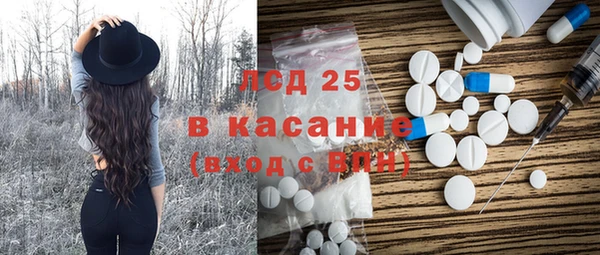 стаф Алзамай
