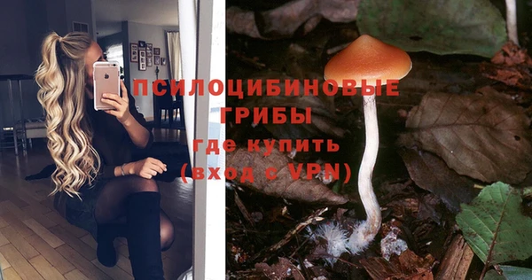 сатива Алексин
