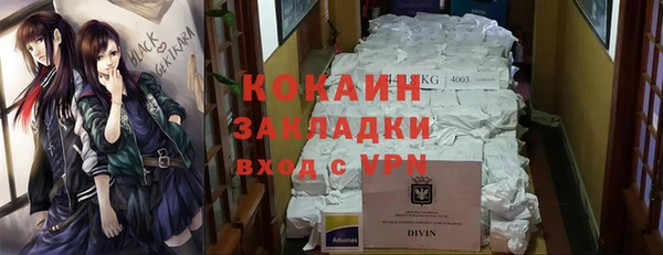 стаф Алзамай